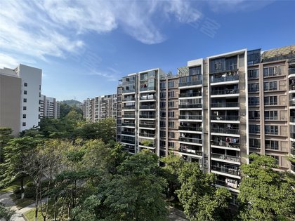 保利香雪山南区