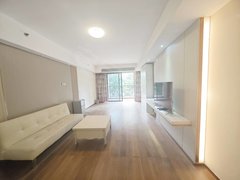 深圳大鹏新区大鹏大鹏kPR佳兆业公寓一房两厅一卫拎包入住整租出租房源真实图片