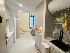 阳江阳东龙山公园星港汇 复式一房一厅 配套齐全 拎包入住 窗外可看摩天轮出租房源真实图片