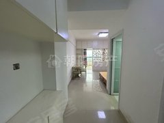 淮南田家庵中化国际城惠利花园D区 1室1厅1卫 精装修 50平 电梯房 政务大厅出租房源真实图片