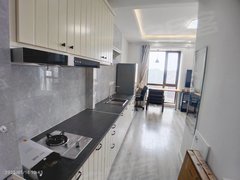 大连中山东港东港 天鹅湾可月付 碧桂园望海中心东港国际 威尼斯水城出租房源真实图片