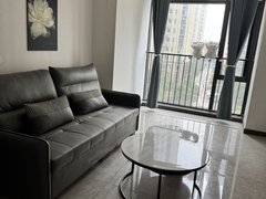 益阳赫山城市学院碧桂园壹中心大两房公寓，诚心出租出租房源真实图片