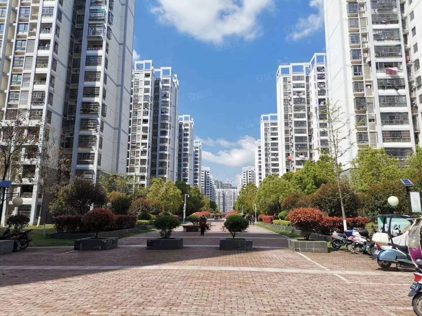 滨湖康园北区 电梯房 简单装修 105万 楼层好 视野无遮挡