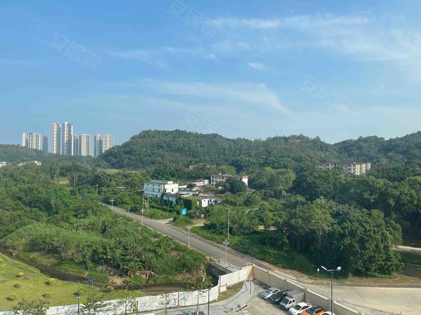 珠海高新区唐家湾华发蔚蓝堡房源采光好,南北通透,业主诚意出出租房源