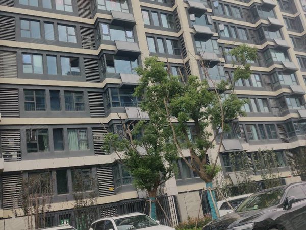 合肥肥西肥西县城金宇天地城(商住楼)天地城,大小区,环境优雅出租房源