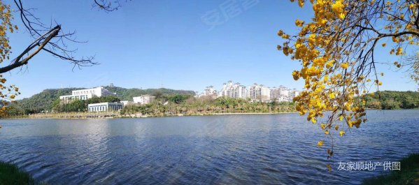 湖畔花园小区 南北通透户型素质小区 产证面积无水分 杜绝虚价