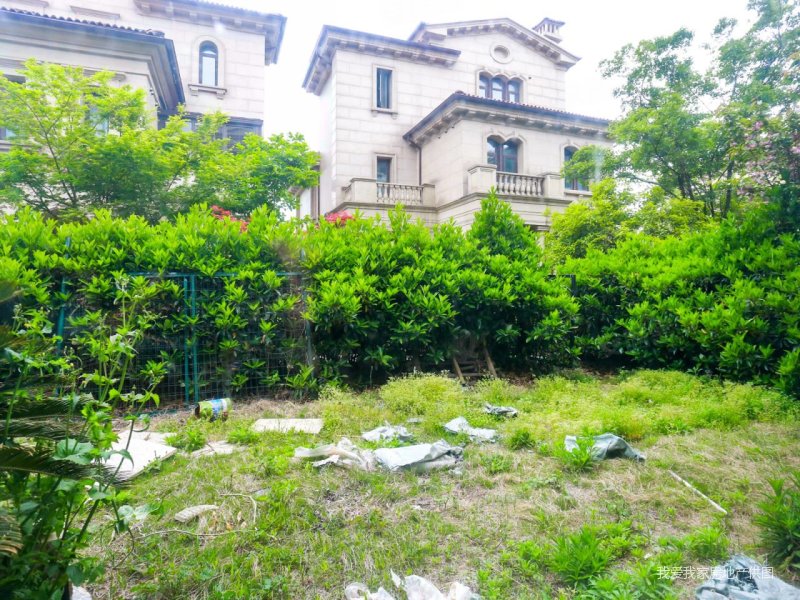 联排别墅来了渭塘钓鱼台钢挂石材外立面品质小区可看湖景