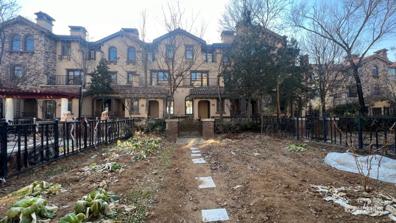 青建橄榄树别墅