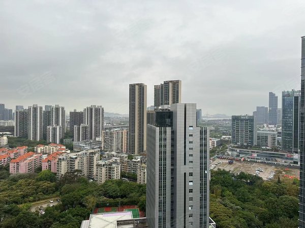 深圳南山前海远洋滨海大厦南油远洋滨海大厦 公寓大两房 楼下地铁口