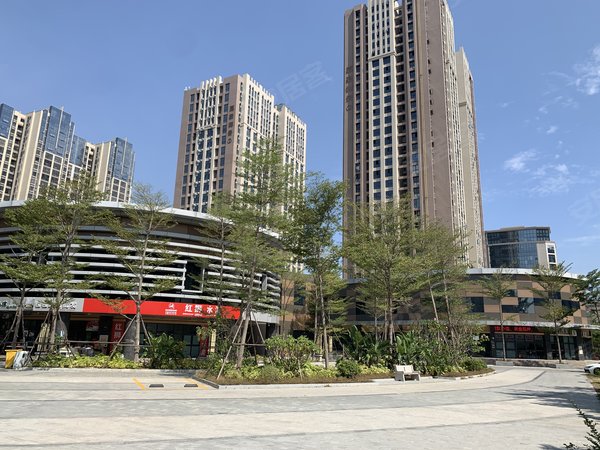 泉州晋江世茂御龙湾嘉豪御景嘉豪御景 绿洲公园旁 七小边 精装公寓