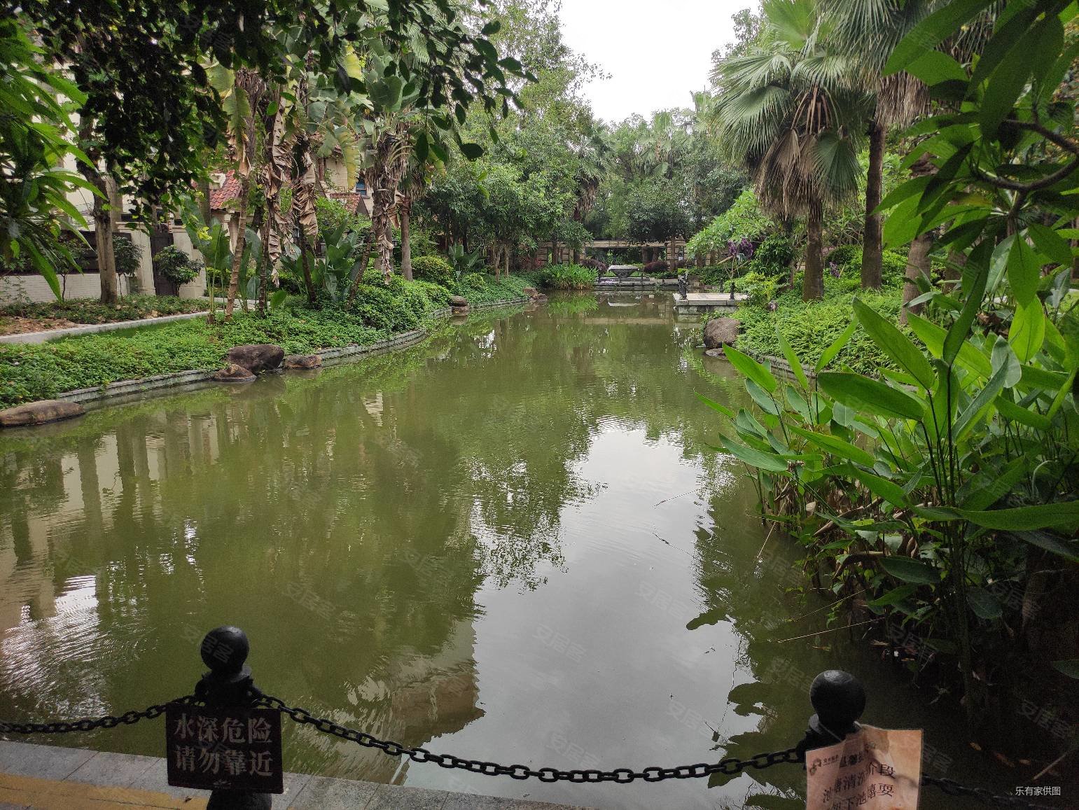 带前后花园 龙光别墅次新小区 交通便利近地铁 滨实书孢,龙光棕榈水岸