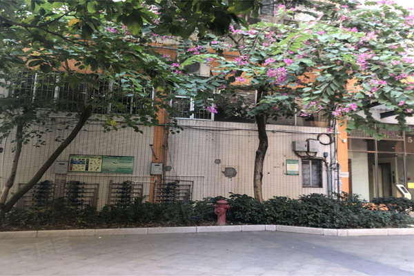 广州小区 花都小区 新区小区 银星花园
