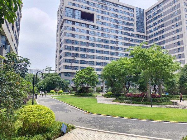 【多图】碧桂园星港国际,镜湖大道租房,碧桂园(豪华一房一厅)高层东南