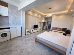 玉溪红塔红塔城区新天地万达花园 1室1厅1卫 50平 精装修 电梯房出租房源真实图片