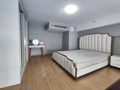 合肥包河高铁南站高铁南站龙川路合柴奥体中心华润象城旁融侨观澜精装loft公寓出租房源真实图片