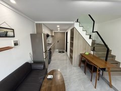 建湖双湖路双湖公园出租宝龙附近天铂公寓精装2室。可租。。。。出租房源真实图片