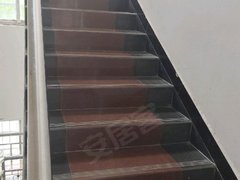 驻马店平舆平舆 2室1厅1卫出租房源真实图片