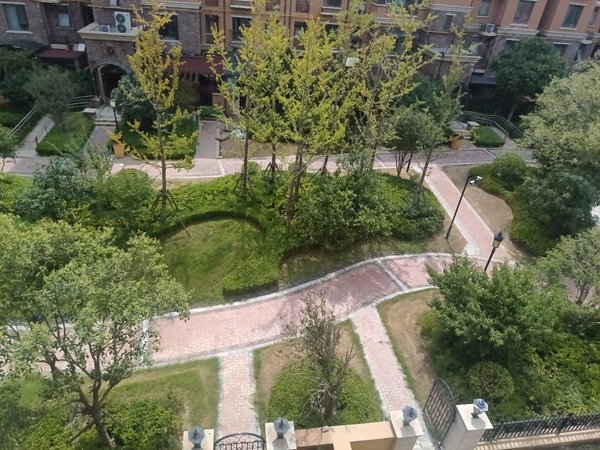 郑州新郑龙湖华南城龙湖锦艺城独卫主卧,房东自租,锦艺城小区出租房源