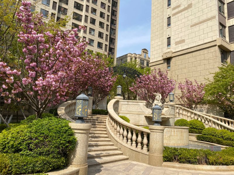 万科半山半海2室2厅1卫88.87㎡南北206万