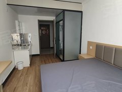 安阳龙安安阳商贸城安玻公寓 B209,单间性价比出租房源真实图片