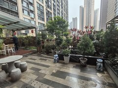 广州海珠琶洲天悦 带大花园 非常漂亮 整租 业主好说话出租房源真实图片