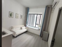 宜宾翠屏下江北小公寓出租，万象汇旁边，可押一付一，可养宠物，配套齐全出租房源真实图片