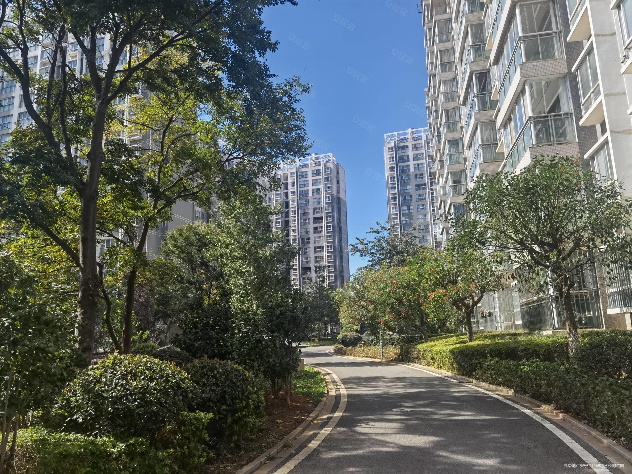 石江景苑4室2厅2卫140.46㎡南北56万