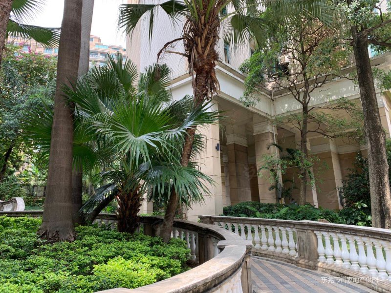 新天美地,带入户花园,电梯高层3房,一手业主,只卖这个价