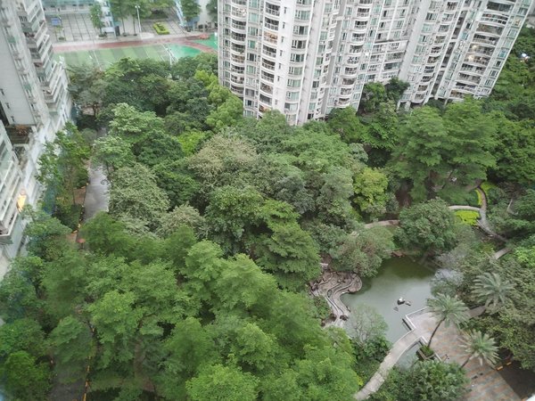 【多图】翠城花园,昌岗租房,望花园3房靓装修 家私电器都齐全 有兴趣