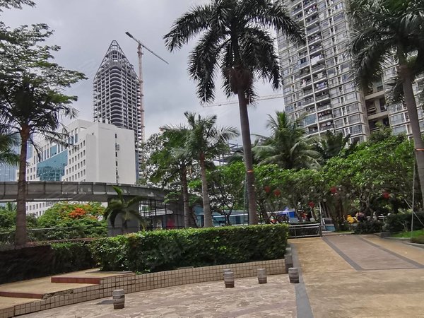 深圳布吉木棉湾布吉中心花园木棉湾地铁站布吉中心花园小区电梯三房一