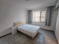 鞍山立山立山广场高新区 红岭家园  南向单室 拎包入住 随时看房出租房源真实图片