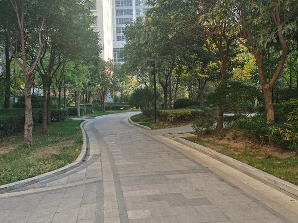 临沂兰山金雀山路威特天元广场真实!