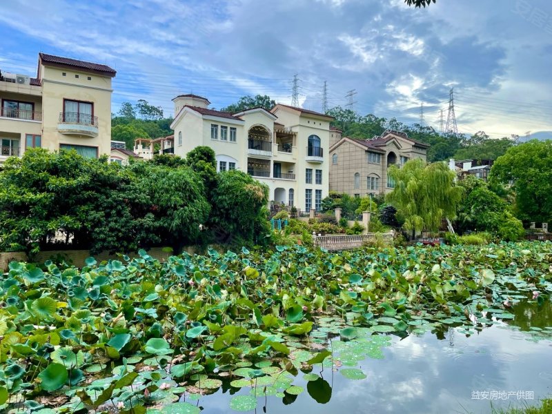 东莞房产网>东莞二手房>大岭山二手房>杨屋二手房>中惠沁林山庄>