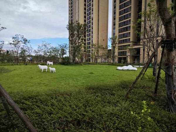莆田秀屿为民路中建荔景新城中建荔景新城 3室2厅2卫出租房源真实图片