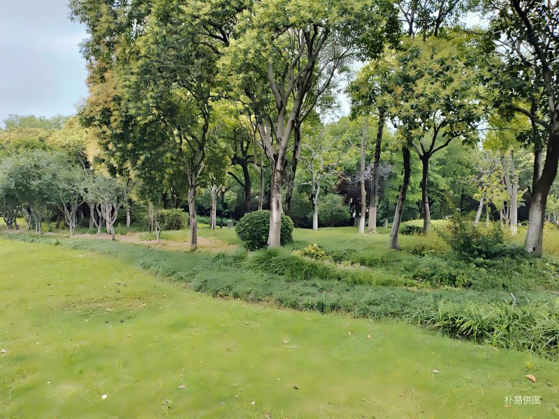 巴比伦花园一楼复试带大露台256平米可做5房急售