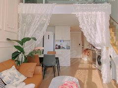 徐州云龙新淮中心云龙区 医科大学 工程学院 宗申产业园 朝南精装一室一厅出租房源真实图片