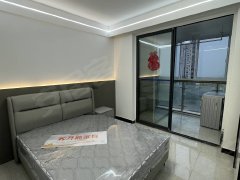 上海嘉定江桥新城14号线嘉怡路朝南一室户，楼层好，光线好，随时看房入住出租房源真实图片