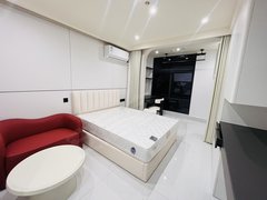 杭州钱塘下沙江滨文海南路！整租朝南一居室，家具齐全拎包入住，押一付一无宗介肺出租房源真实图片