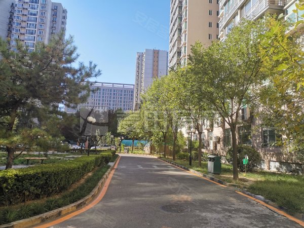 北京朝阳望京夏都家园夏都家园 精装修一居室  安静不临街  小区周边