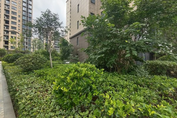 不足,青岛花园怎么样,青岛花园周边房产中介经纪人评价-商丘安居客