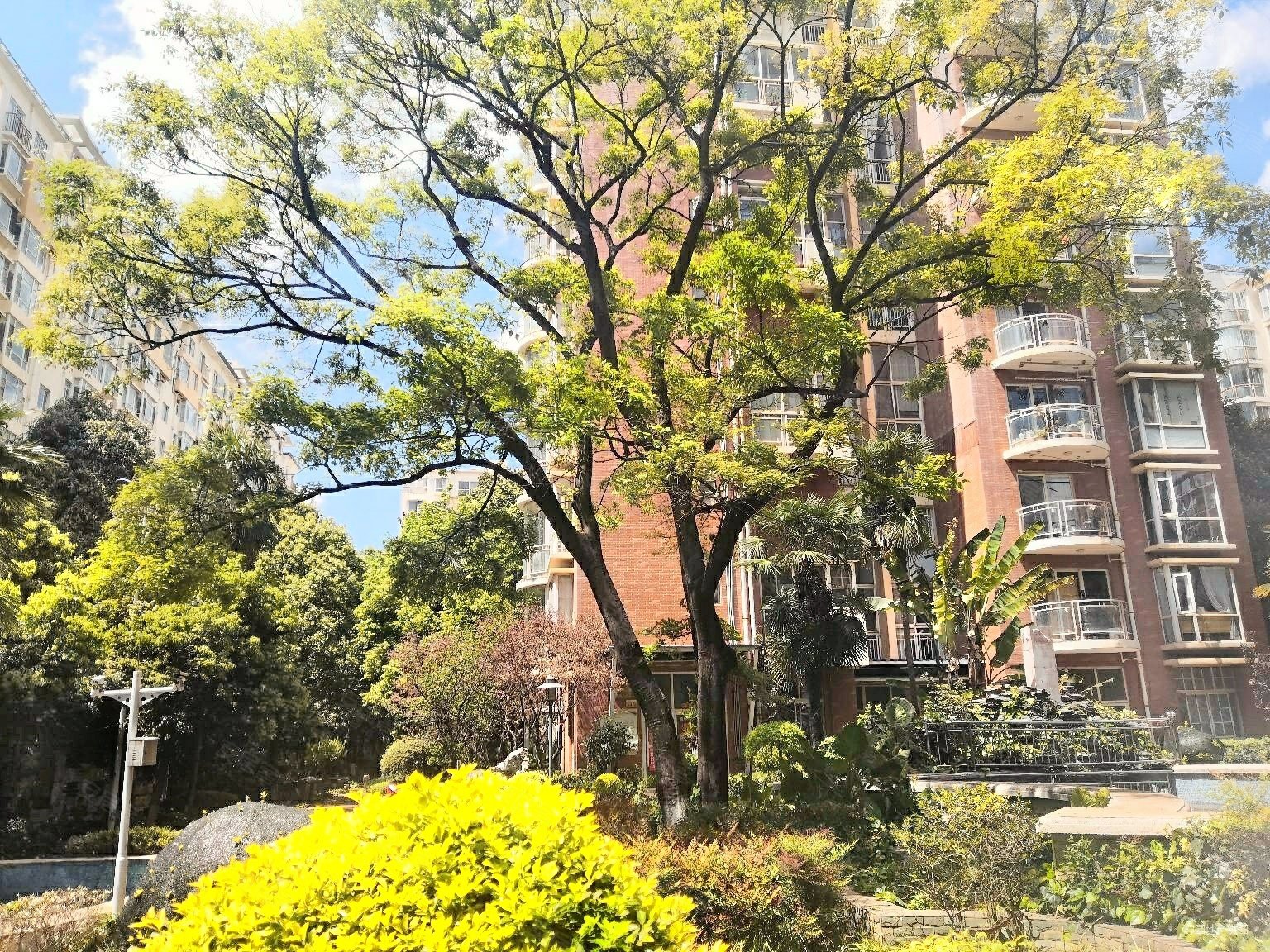 高新区南北通透棕榈泉花园电梯房122平精装修3室2厅