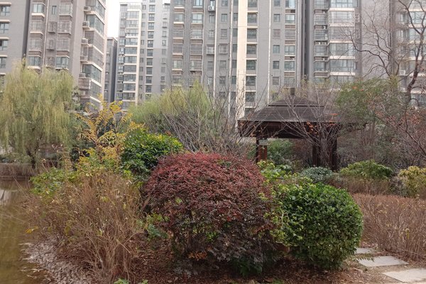 天山绿洲二期优点,不足,徐州天山绿洲二期怎么样,天山绿洲二期周边