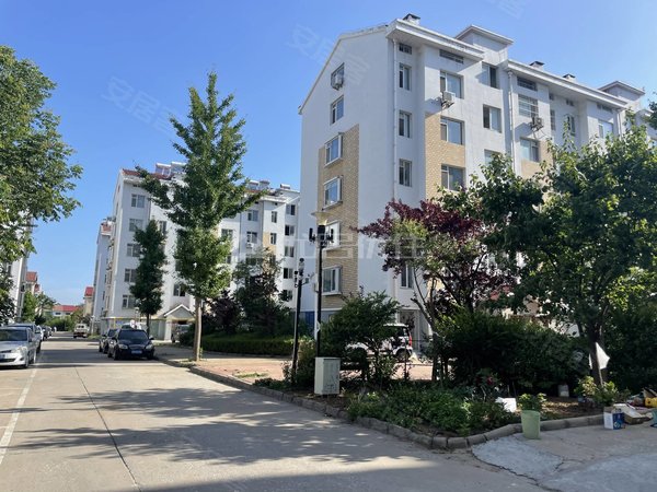 青岛莱西周格庄书苑小区a北一中附近 精装低楼层  干净卫生 家具家电