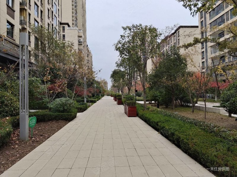 山水香堤溪墅4室2厅2卫177㎡南北496万