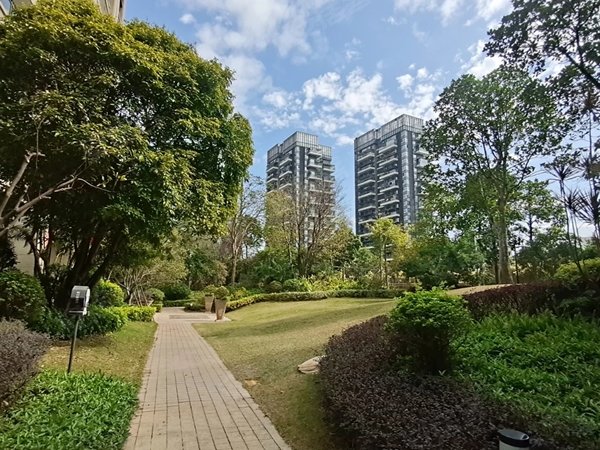 深圳南山深圳湾汉森吉祥龙花园毛坯看房方便!