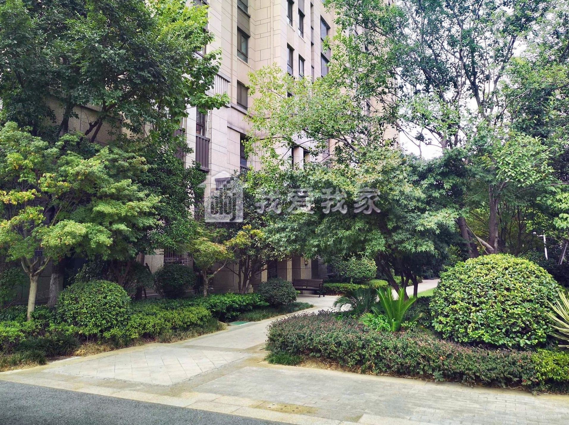 拉小29中拉萨路峨嵋岭金鼎湾今朝天下精装高层带电梯