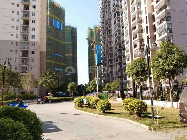 【多图】鑫利华家园,区政府租房,两房1500 鑫利华家园 出门菜市场 近