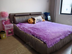 中南 香江花城小学旁精装二室 一个床 设全拎包入住