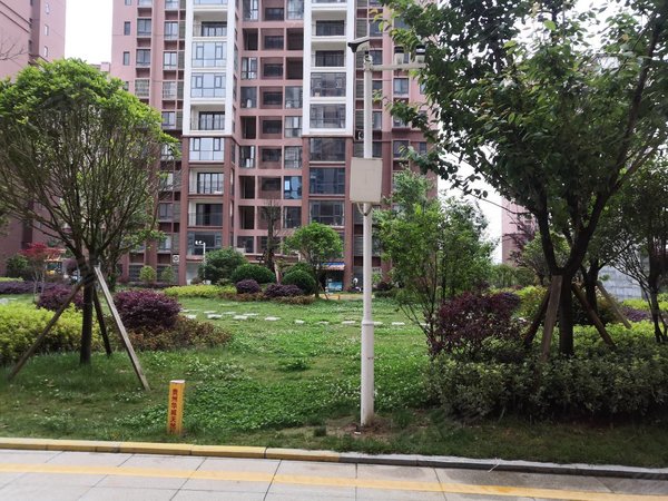 毕节威宁威宁城区金岭蓝湾欣园新城区,威宁县工贸学院正对面出租房源