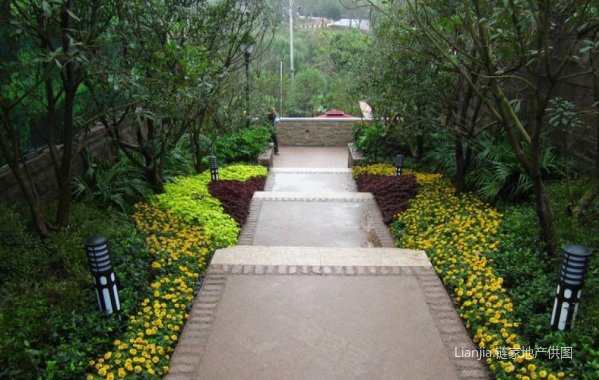 【多图】巴南万达旁+远洋高尔夫+轻轨一室一